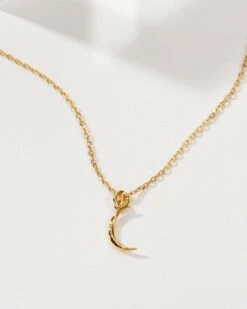 Celeste Necklace(Celeste Necklace)