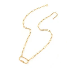 Paperclip Carabiner Clasp Chain(Paperclip Carabiner Clasp Chain)