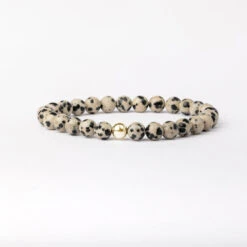 Dalmatian Jasper Beaded Bracelet – Essential 6mm Gemstone Crystal Jewellery(Dalmatian Jasper Essential Bracelet 6mm)