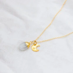 Moonstone Charm Necklace - June Birthstone(Moonstone Charm Necklace June Birthstone) -Djuna Jewelry Store moonstone pendant 3