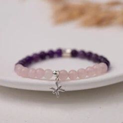 Pisces Birthstone Bracelet – Gemstones With Sterling Silver Zodiac Charm(January Birthstone Bracelet)